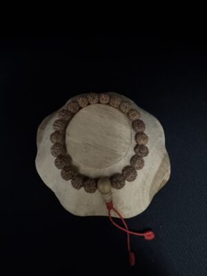 Bracelet Tibétain en Rudraksa de 22 perles
